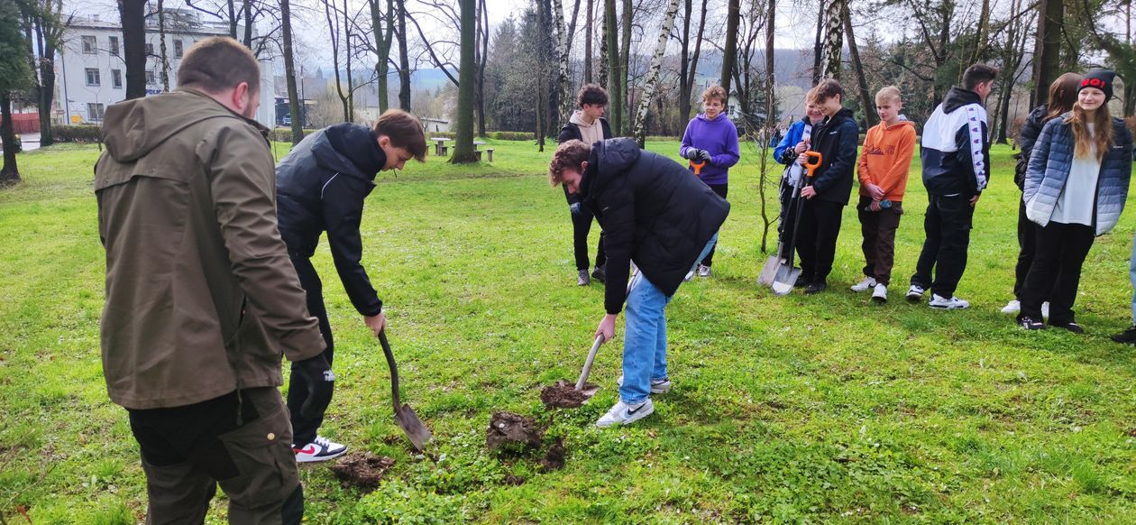 Bolków: Akcja sadzenia drzew
