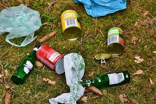 Jelenia Góra: Razem posprzątaliśmy Borowy Jar