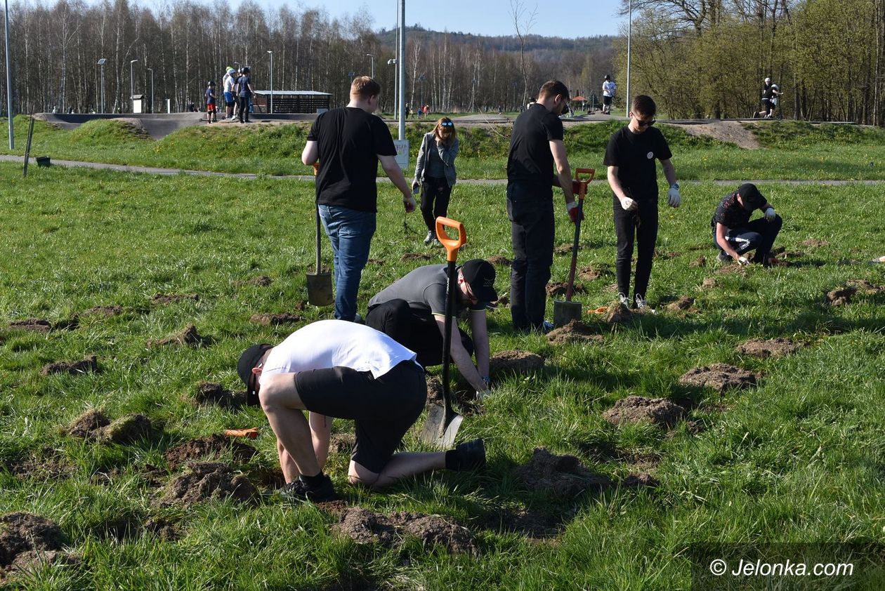 Jelenia Góra: Młodzi radni sadzili drzewa