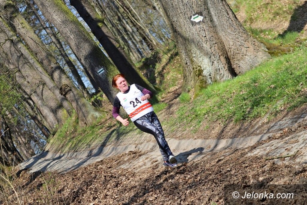 Jelenia Góra: Biegiem dla środowiska