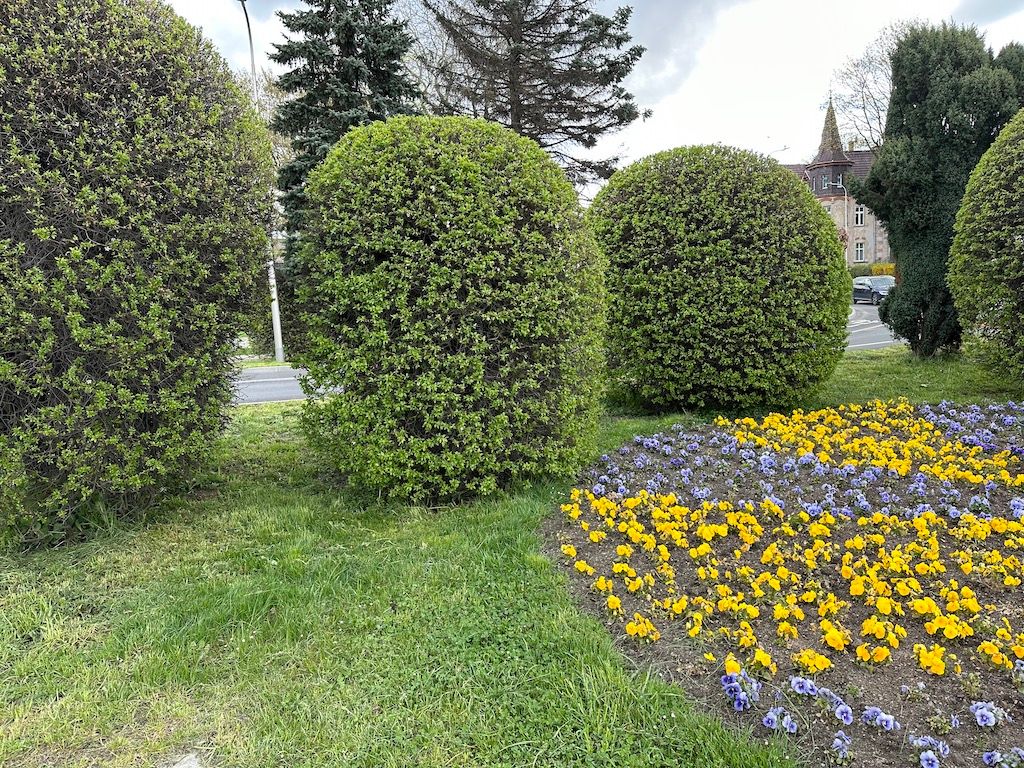 Jelenia Góra: Kolorowo w mieście