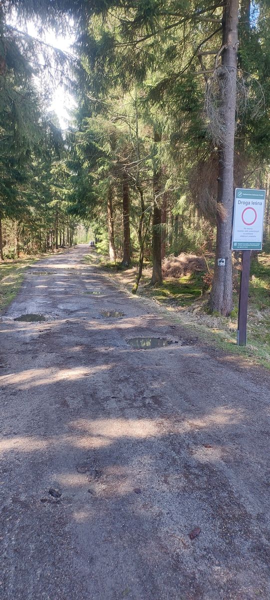 Szklarska Poręba: Czytelnik: Strażnicy miejscy "na papierosku" w lesie