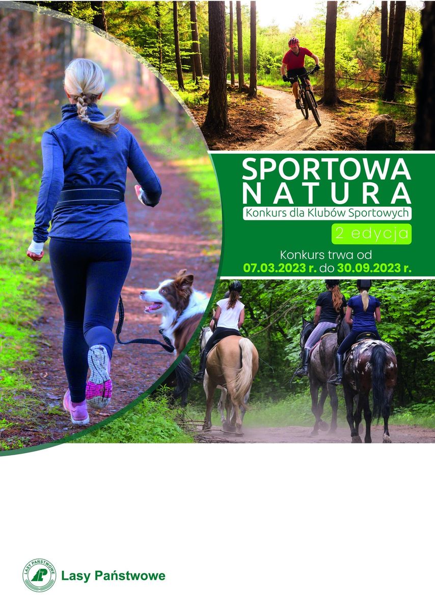 Jelenia Góra: Lasy Państwowe wspierają piłkarki ręczne