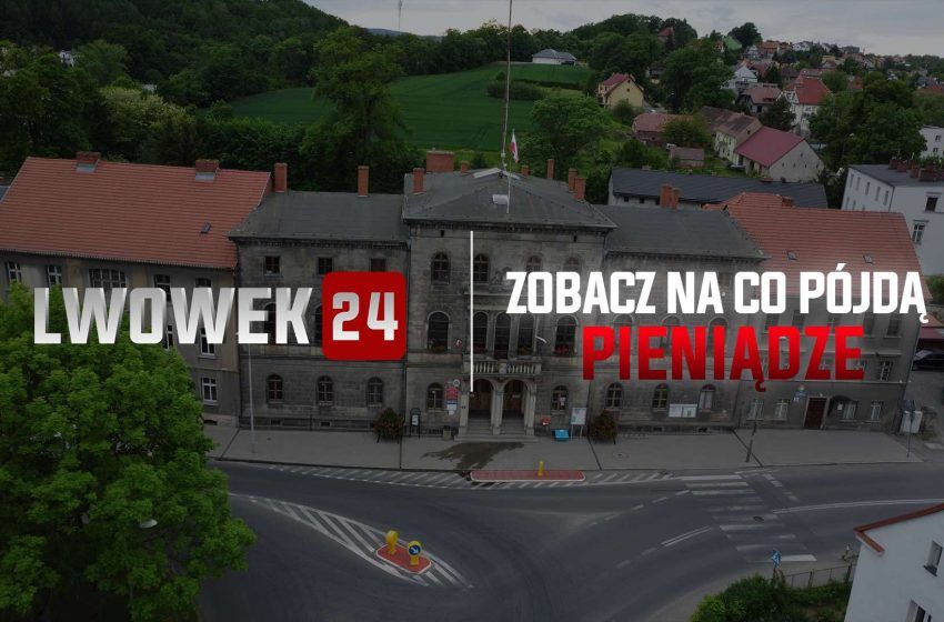 Gmina Lwówek Śląski: Dla kogo dotacja?