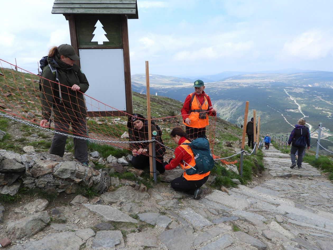 Karkonosze: Siatki pod Śnieżką powrócą