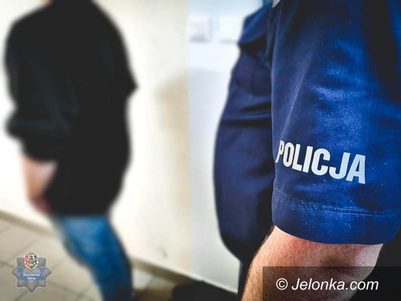 Kamienna Góra: Przestępca ma 50 zarzutów