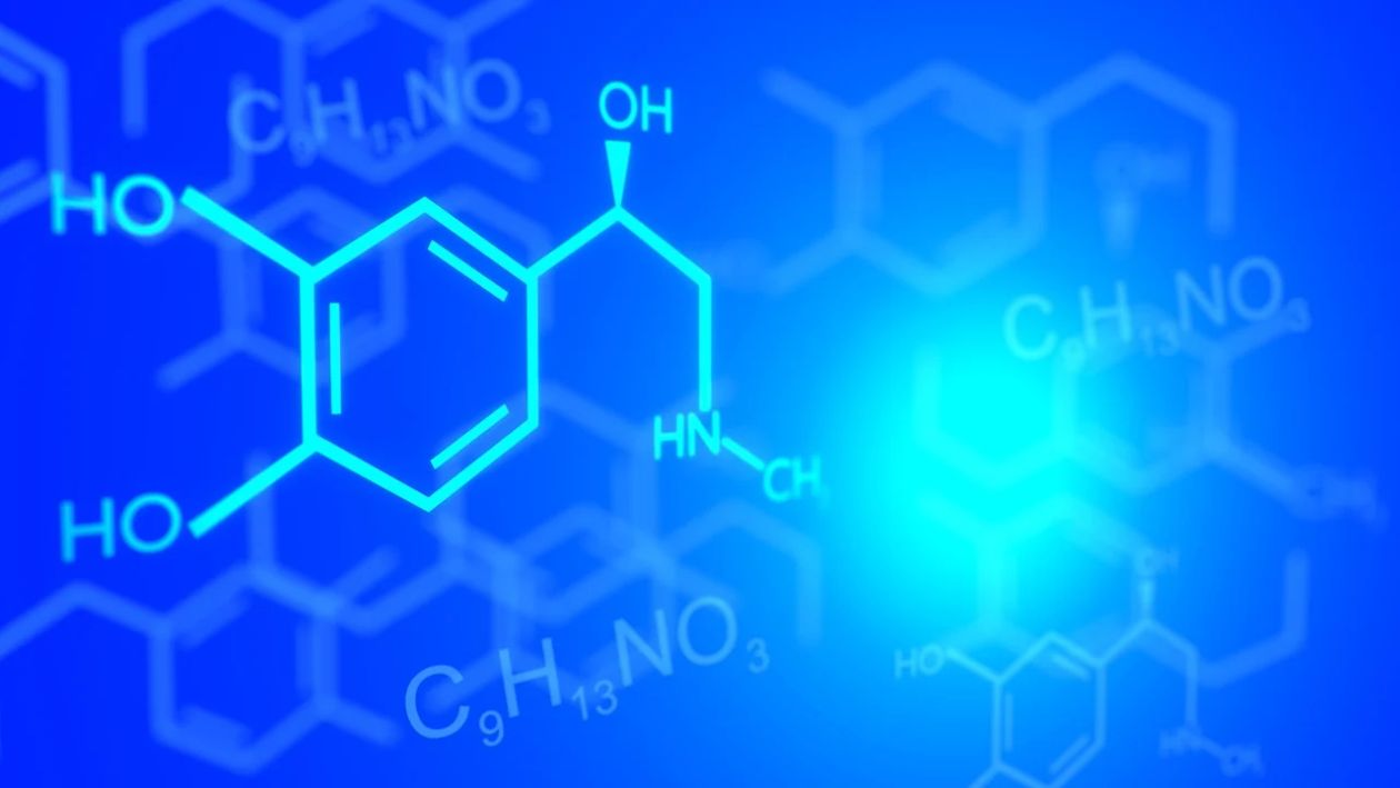 Polska: Dzień Chemika