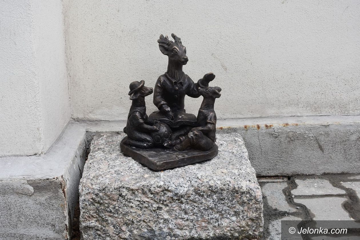 Jelenia Góra: Jeszcze jeden jelonek