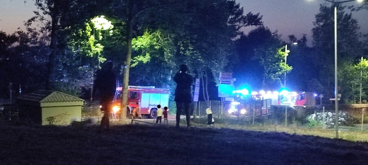 Jelenia Góra: Audi uderzyło w drzewo