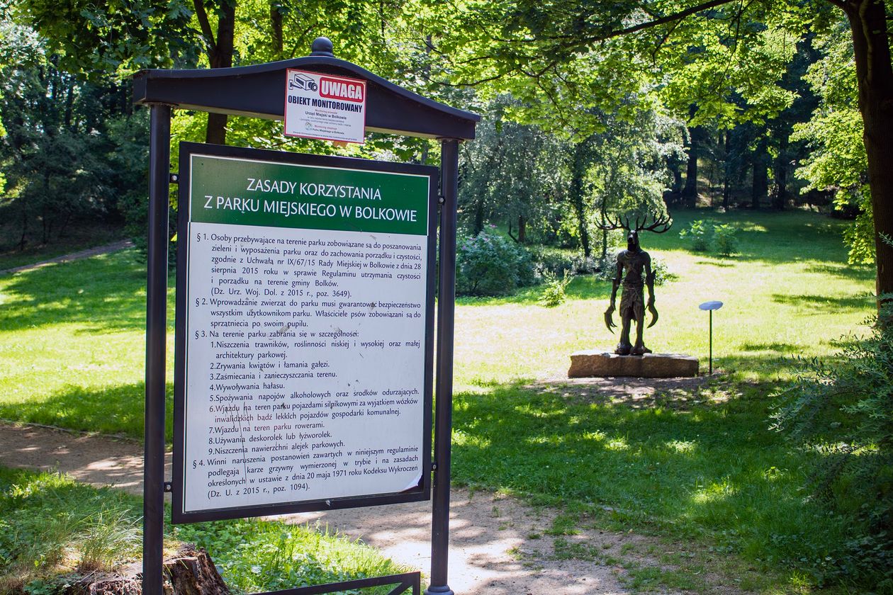 Bolków: Park pod okiem kamer