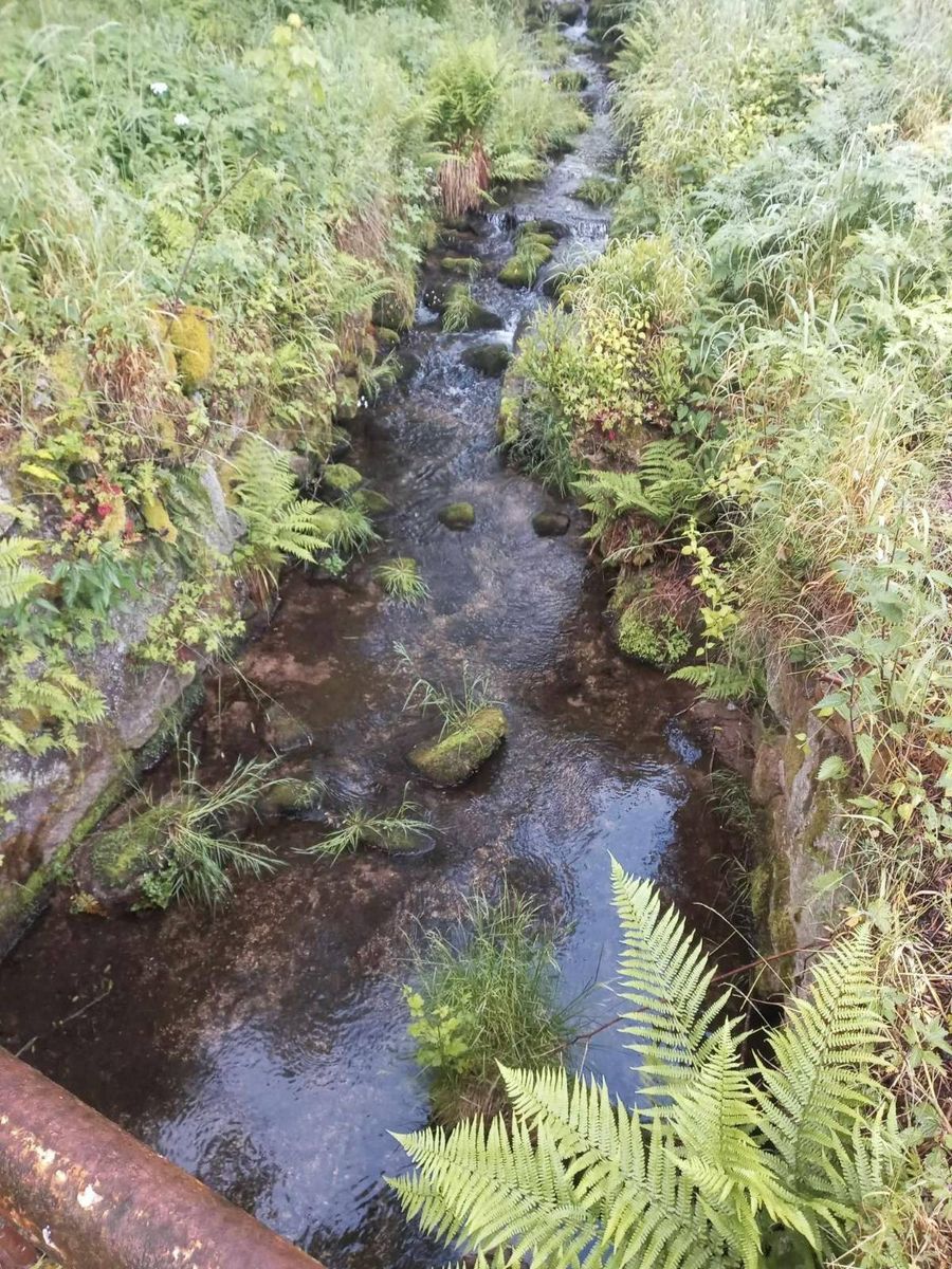 Borowice: Czytelnik: Oczyszczalnia nadal zatruwa potok