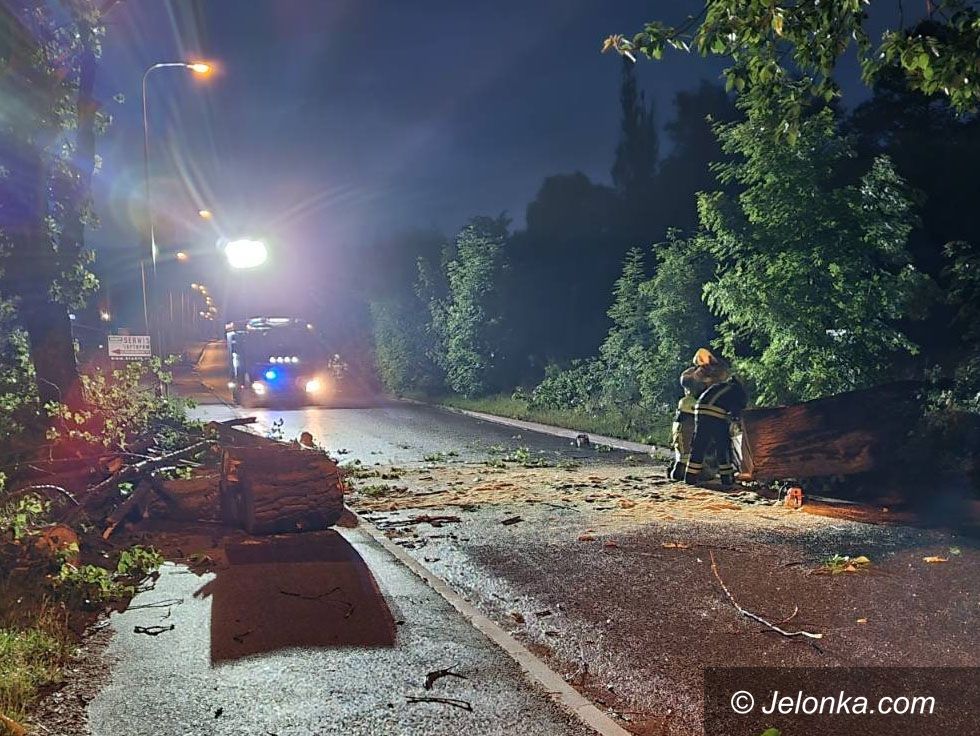 Jelenia Góra: Służby usuwają szkody po nawałnicy
