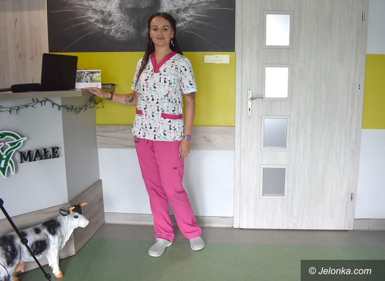 Jeżów Sudecki: Kotom grozi epidemia?