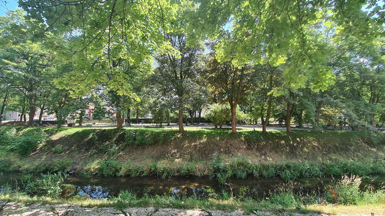 Lubań: Park pięknieje