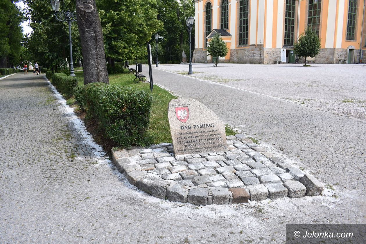Jelenia Góra: Słone alejki – czy to naprawdę konieczne?