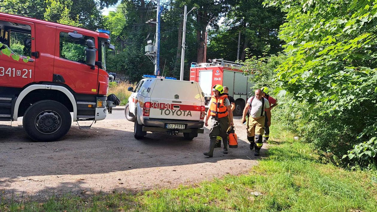 Przesieka: Paliwo z autobusu skaziło potok (aktualizacja)