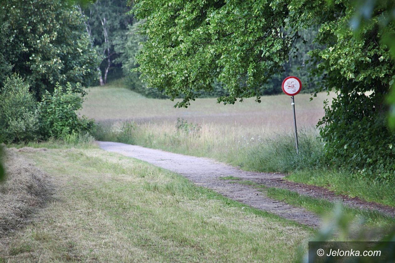 Kowary: Wyłapie fotopułapka
