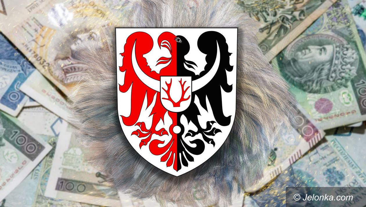 Powiat: Prześwietlamy majątki radnych – powiat karkonoski