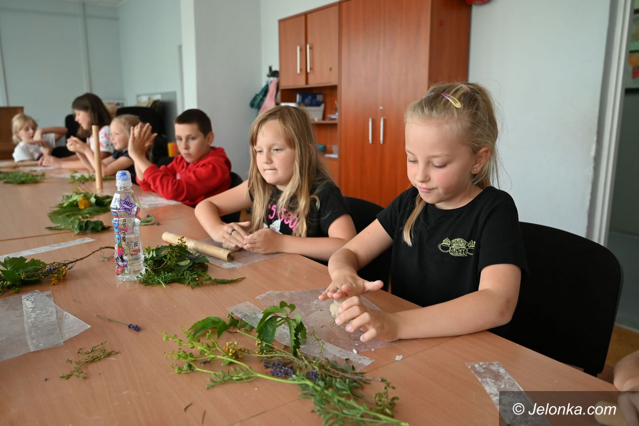 Jelenia Góra: Rośliny zaklęte w gipsie