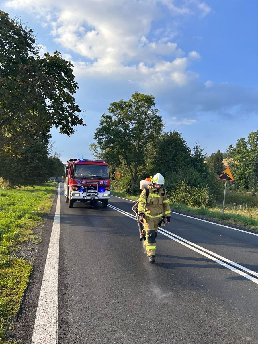 Region: Olej na drodze