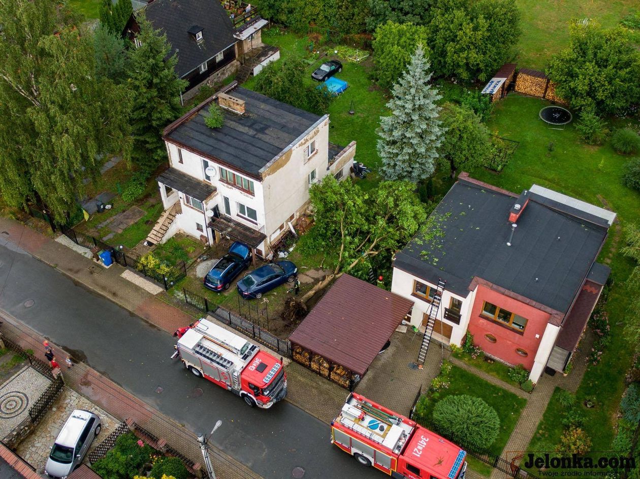 Jelenia Góra: Wiatr powalił drzewo