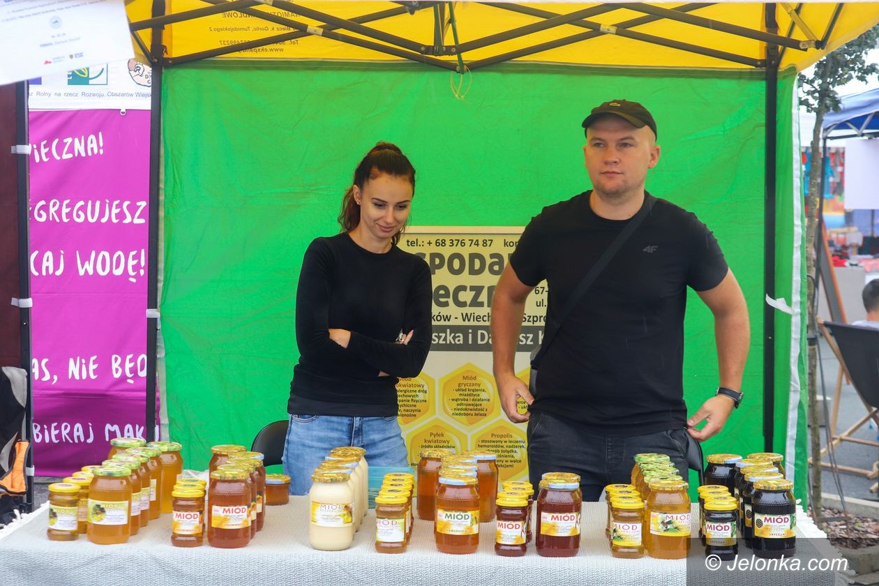 Jelenia Góra: Smakołyki i artyści