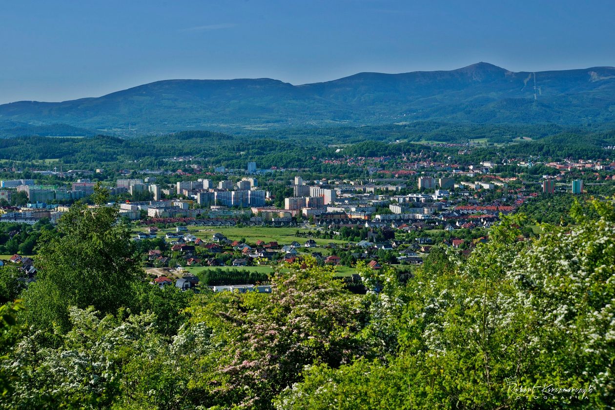 Region: Nagrody za promocję