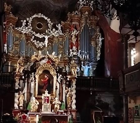 Jelenia Góra: Piraci organowo