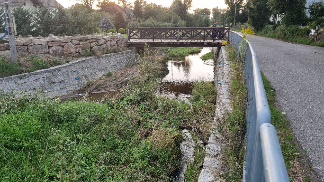 Jelenia Góra: Radomierka nadal groźna