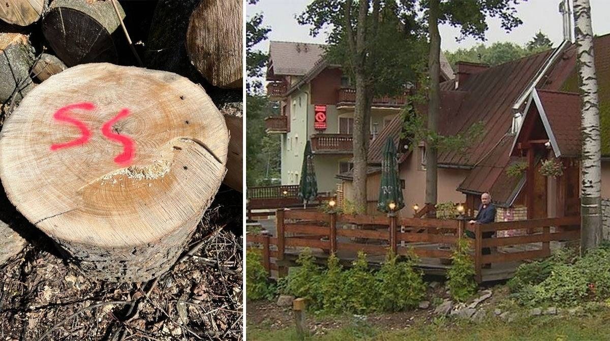 Szklarska Poręba: Wycięli bo mogli