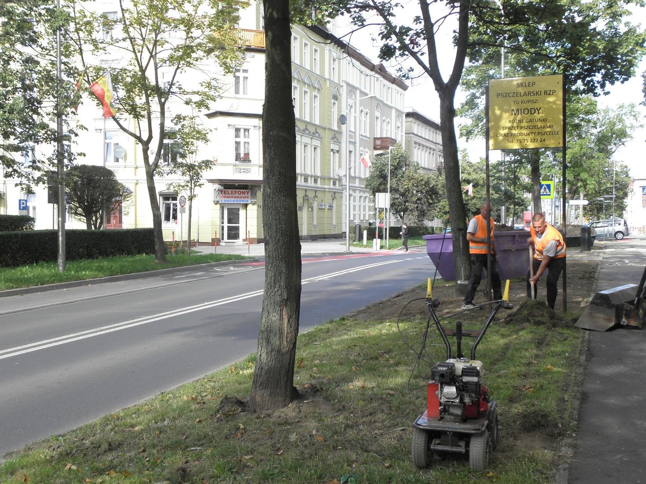 Jelenia Góra: Wojska Polskiego się zazieleni