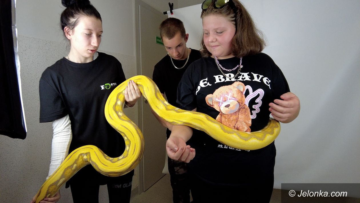 Podgórzyn: Z wężem w rękach