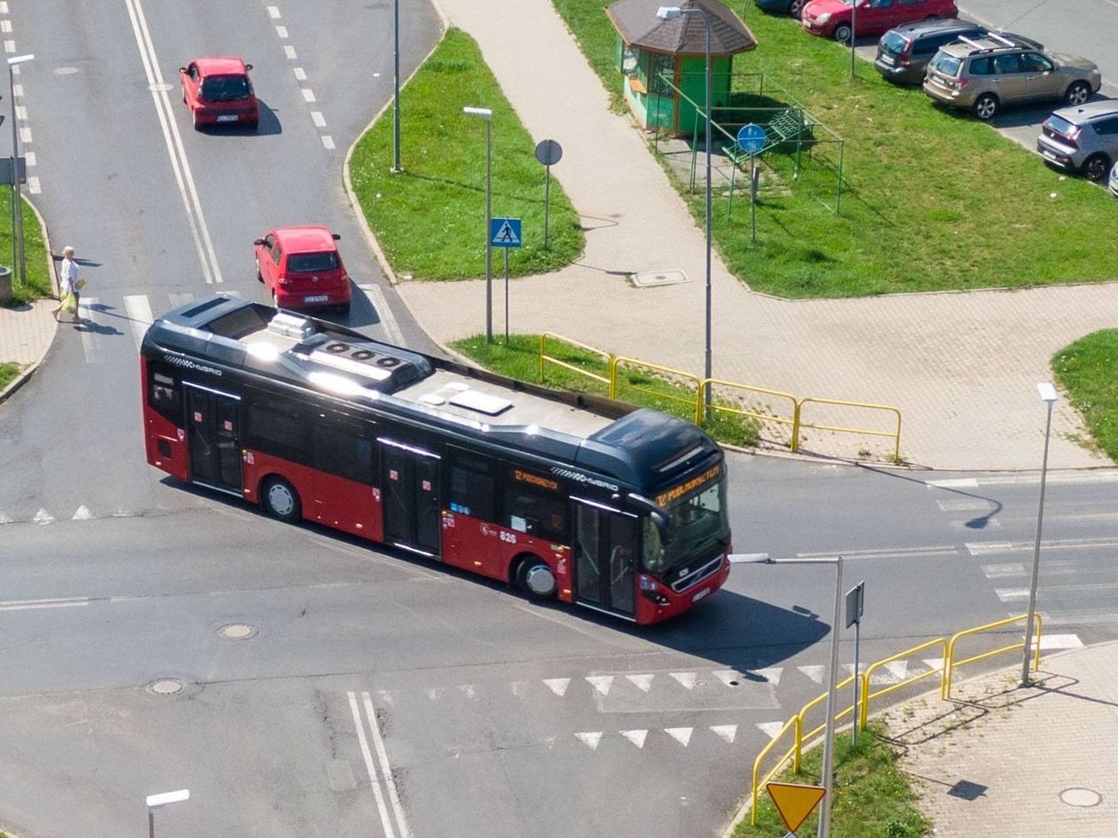 Jelenia Góra: Kto znajdzie złoty bilet?