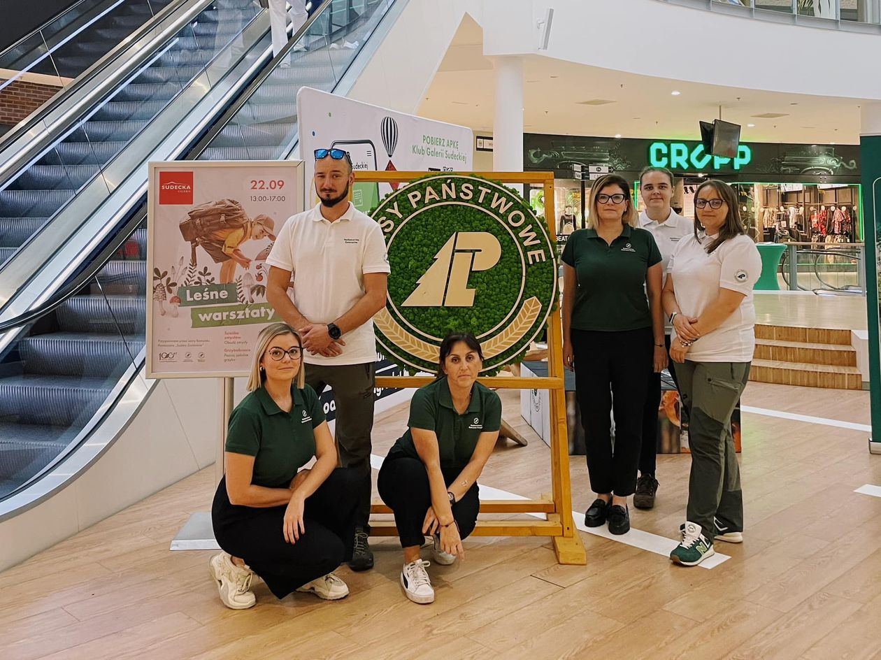 Jelenia Góra: Czekają w galerii