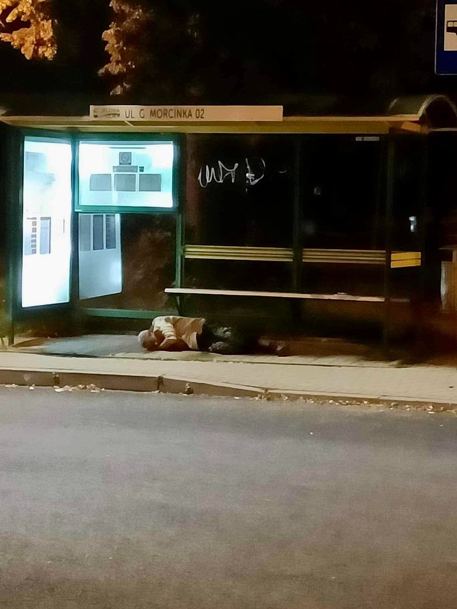 Jelenia Góra: Dziki lokator na przystanku