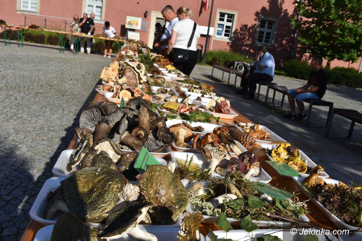 Region: Sezon tylko  dla wytrawnych