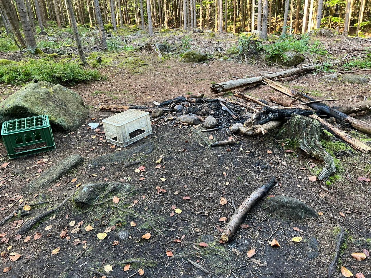 Piechowice: Sąsiedzkie sprzątanie