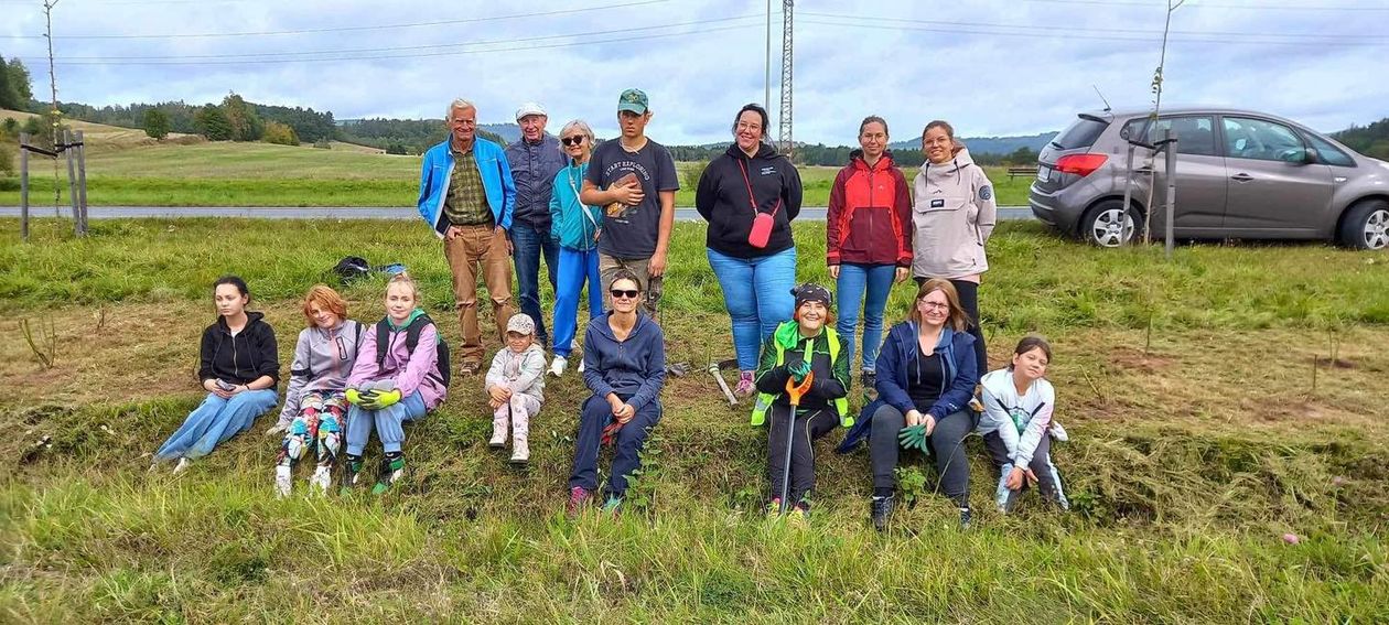 Jelenia Góra: Zielona akcja przy obwodnicy