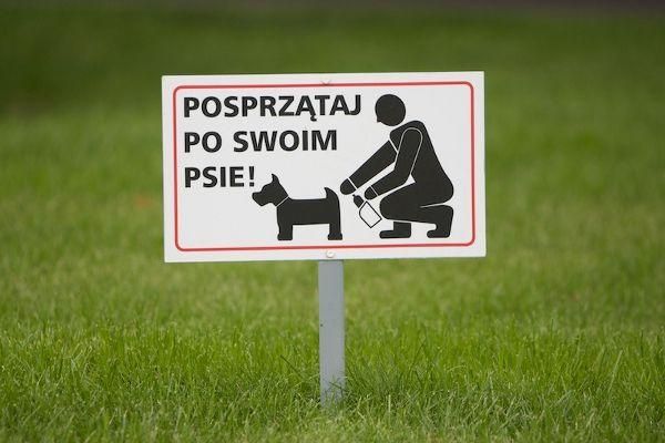 Kowary: Sprzątajcie po swoich czworonogach