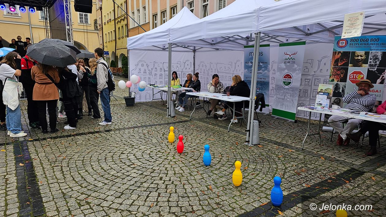 Jelenia Góra: Piknik w Jeleniej Górze