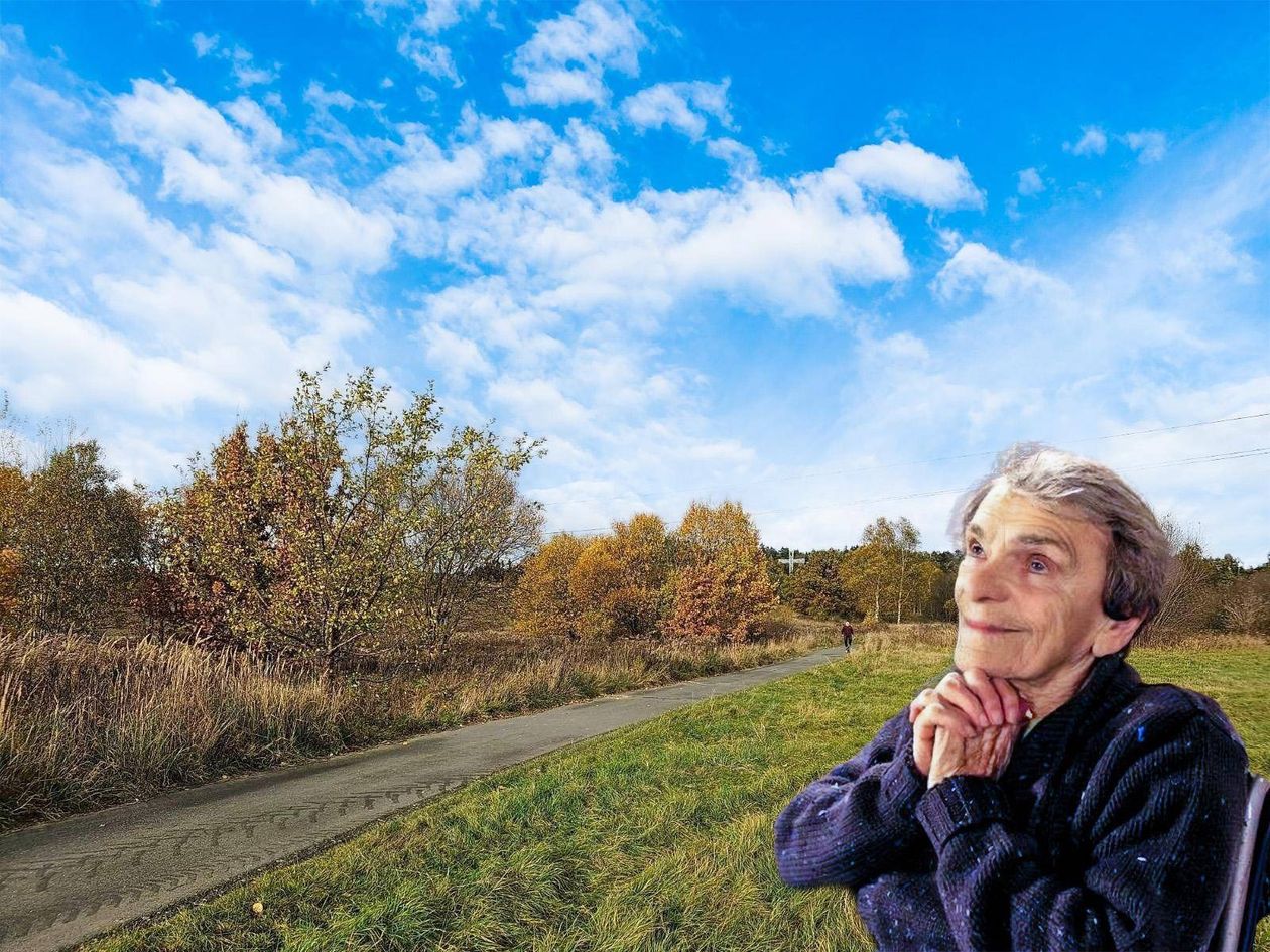 Jelenia Góra: Ludzie komentują, a Babka Kiepska w grobie się przewraca