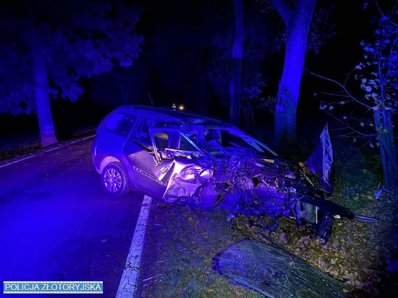 Jelenia Góra: Wjechał w drzewo