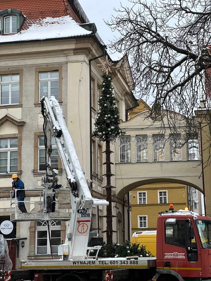 Jelenia Góra: Choinka obok ratusza