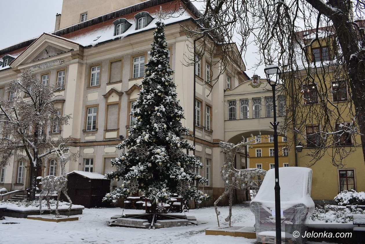 Jelenia Góra: Choinka już gotowa