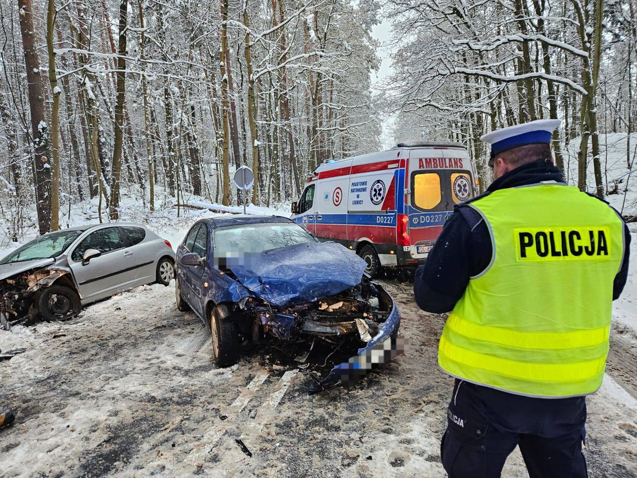 Złotoryja: Czołówka w lesie