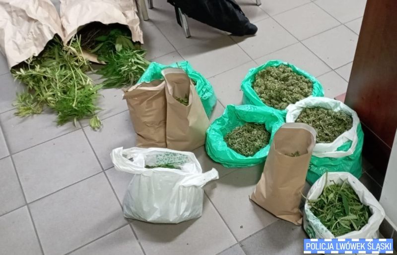 Dolny Śląsk: Popalali, a policjanci ich złapali