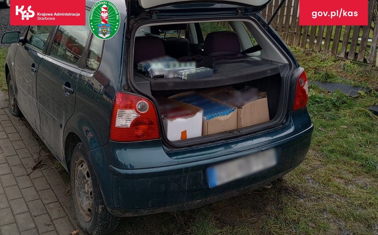 Bogatynia: Owczarek wywąchał kontrabandę