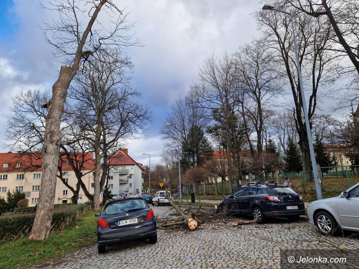 Jelenia Góra: Konar spadł na samochody