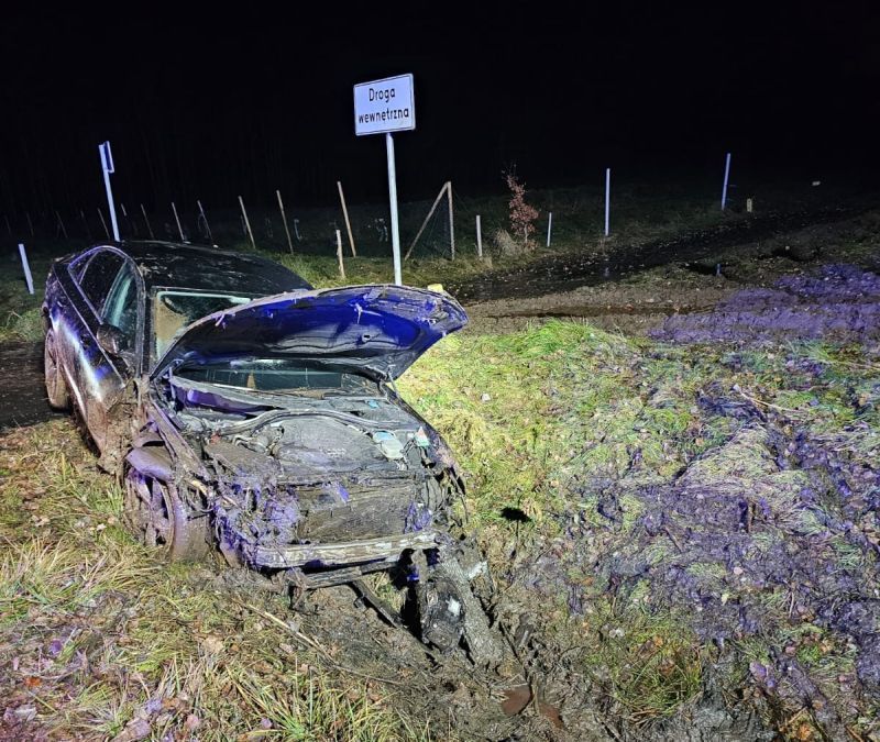 Lwówek Śląski: Pijani na drogach