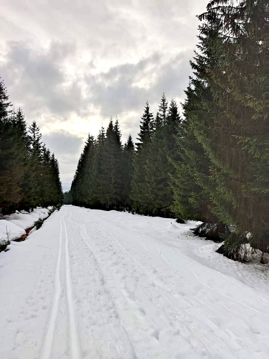 Jakuszyce: Sylwester i Nowy Rok na biegówkach